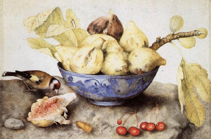 Giovanna Garzoni Chinese Cup with Figs,Cherries and Goldfinch Sweden oil painting art